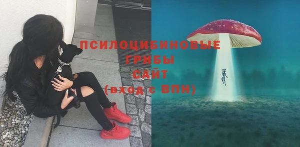 первитин Кукмор