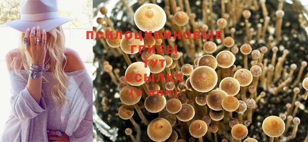 синтетический гашиш Лабытнанги