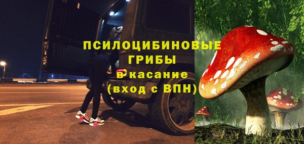 первитин Кукмор