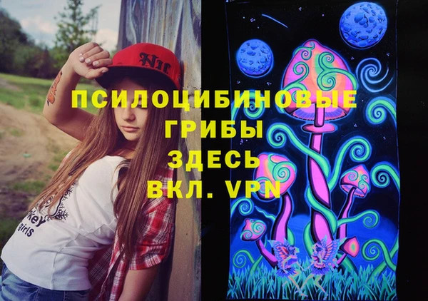 гидропоника Куйбышев
