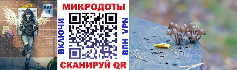 Купить где  Аркадак  Псилоцибиновые грибы Magic Shrooms 